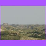 The View.jpg